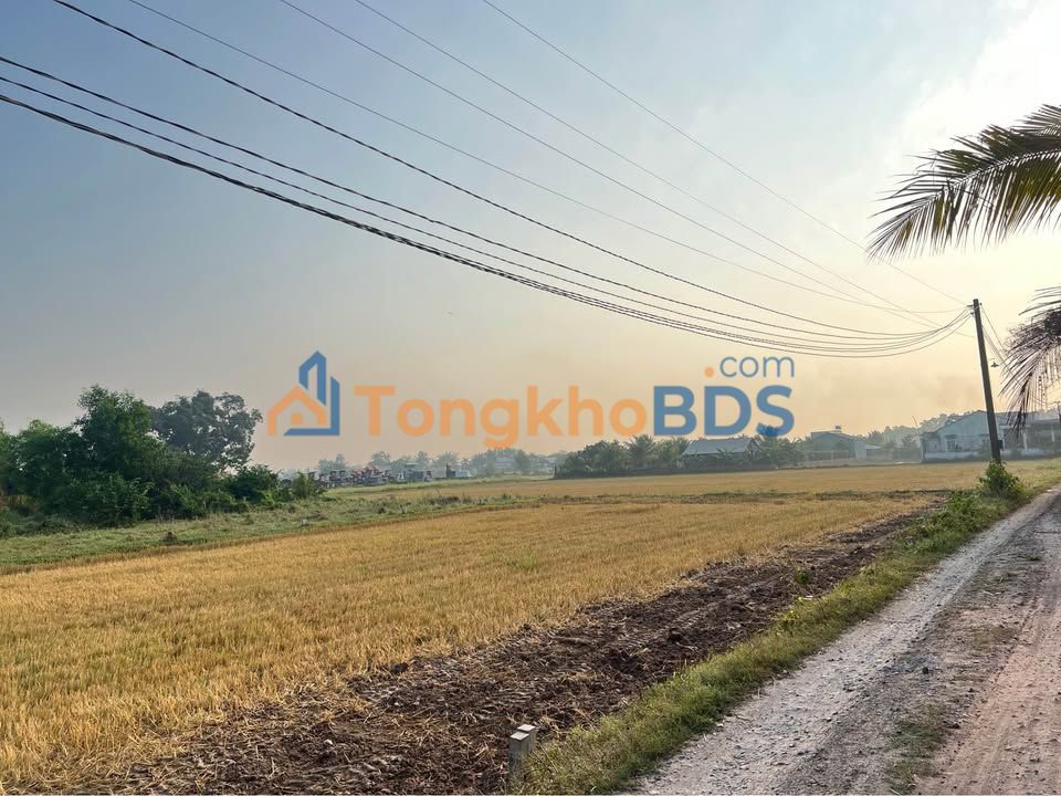 Đất Nền Sổ Hồng Riêng 105m² Hoà Khánh, Bến Lức - Giá Tốt 650 Triệu