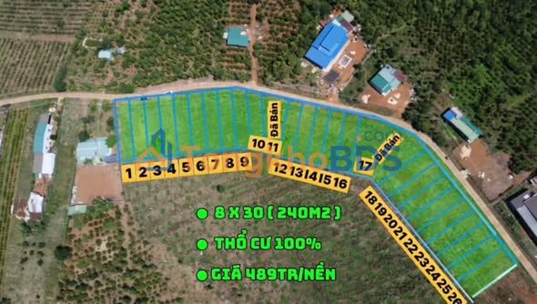 Đất Nền Đắk Song 240m² Full Thổ Cư - Giá Đầu Tư 500 Triệu