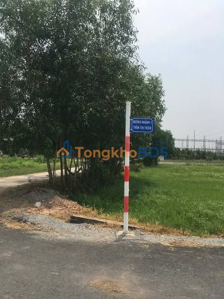 Đất Vườn Củ Chi 1956m² Mặt Tiền Đường Nhựa Ngay Trung Tâm Xã Nhuận Đức - Giá Đầu Tư 3 Tỷ