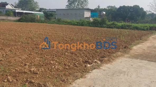 Đất Góc 2 Mặt Tiền Nghĩa Đàn - 234m² - Sổ Hồng Sẵn Sàng - Giá Chỉ 4xx Triệu