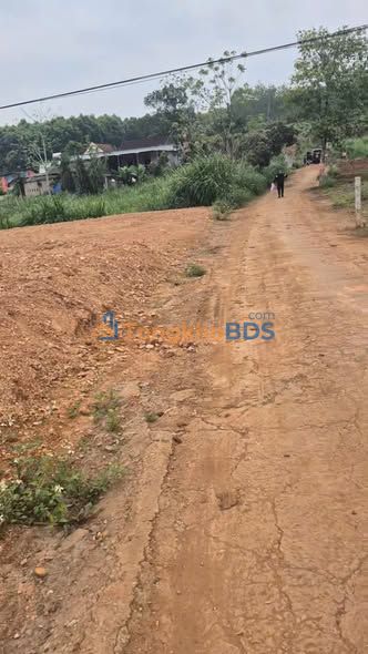 Đất Nền Nghĩa Đàn, Nghệ An: 239m² Sổ Riêng Chính Chủ - Gần QL48