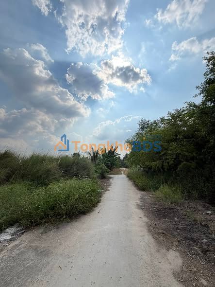 Đất Vàng 2 Mặt Tiền Bùi Viện, Rạch Giá - 514m² - 1.7 Tỷ