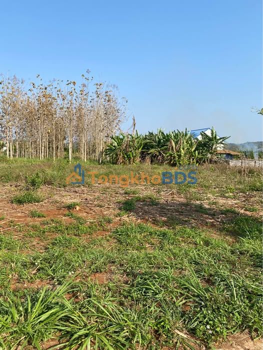 Đất Nền Đắk Sôr, Krông Nô: 240m² Hướng Nam, Giá 499 Triệu - Sổ Đỏ Sẵn Sàng!