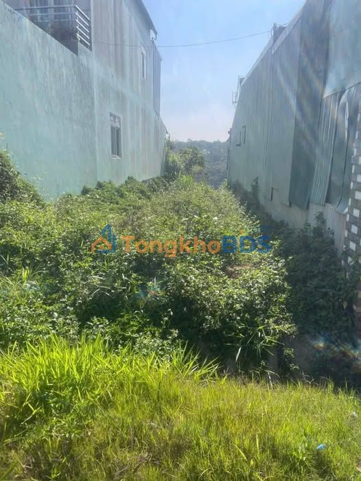 Đất Mặt Đường Lộc Tân, Bảo Lâm - 250m² TC Sẵn Sàng - Giá Tốt