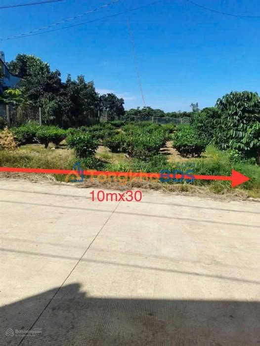 Đất nền Di Linh 293m² (10x30m) - Thổ cư sẵn, gần QL20