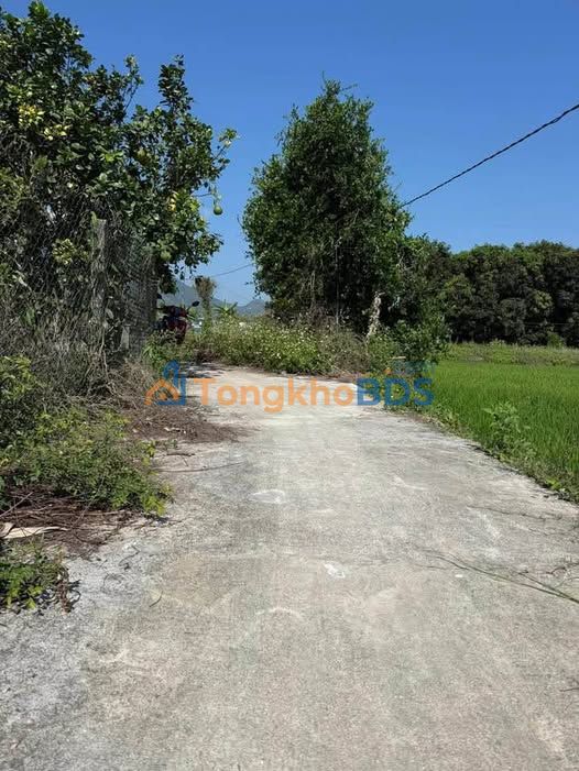 Đất Vườn Suối Hiệp 1428m² - Trồng Xoài Bưởi, Giá Chỉ 1.4 Tỷ