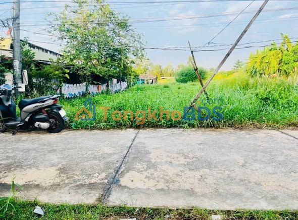 Đất Nền 10800m² Đại Hòa Lộc, Bình Đại - Giá Rẻ 750 Triệu