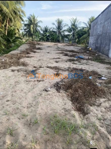 Đất Mặt Tiền QL57b, Bến Tre - 1750m² Sổ Sẵn, Giá 1.9 Tỷ