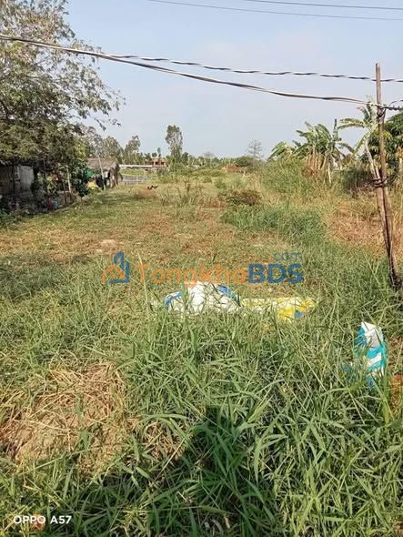 Đất Nền Bình Đại Bến Tre - 1134m² - Giá 750 Triệu - Sẵn Sàng Xây Dựng