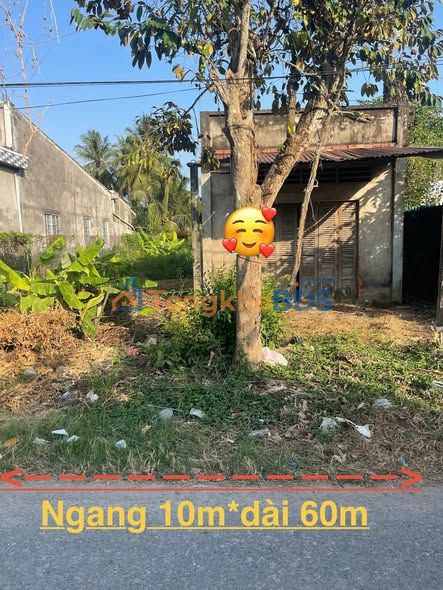 Đất Vườn Bến Tre - 600m² Mặt Tiền Lộ Nhựa 1.4 Tỷ