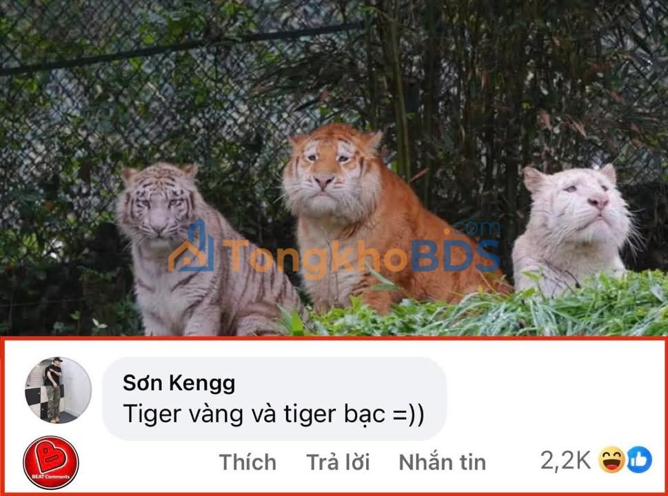 Bán Đất 1200m² Quận 6 - Sổ Sẵn, Giá 1.5 Tỷ, Thích Hợp Làm Kho Xưởng