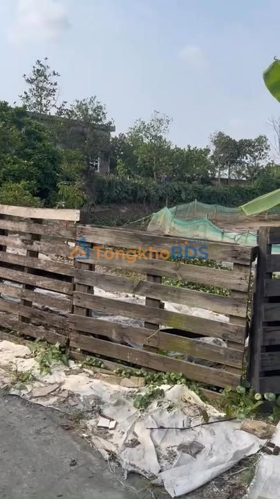 Đất đấu giá Tổ 7, TT Lâm, Ý Yên, Nam Định - 90m² vuông vắn, giá tốt