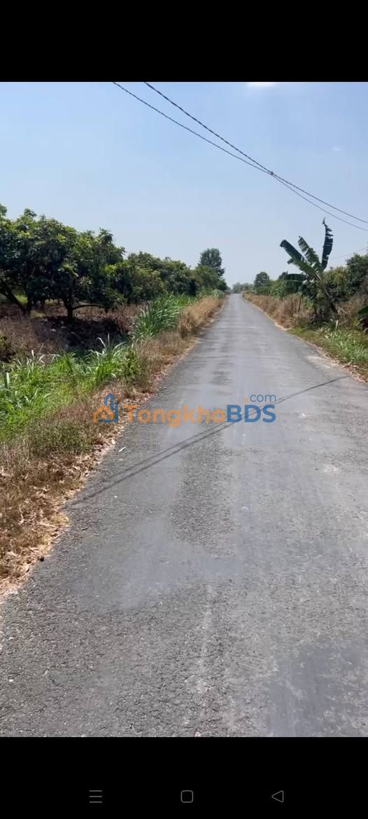 Bán Đất Farm 1056m² Phường Long Hoa, Tây Ninh - Sẵn Sàng Khai Thác