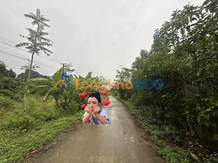 Đất nền Hà Giang 350m² - Chỉ 200 triệu sở hữu ngay!