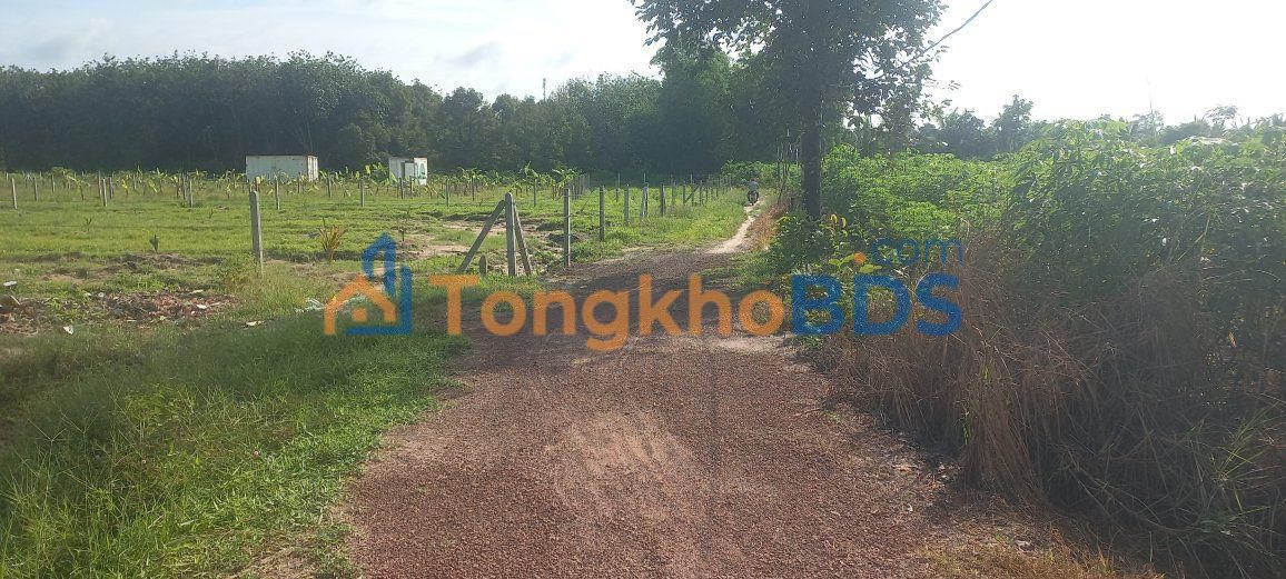 Đất Bình Minh, Tây Ninh 500m² - Vườn Sầu Riêng Tiềm Năng Giá 200 Triệu
