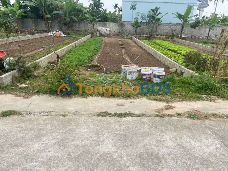 Bán đất Vĩnh Bảo, Hải Phòng - 100m² - Đường thông, ô tô vào tận nơi