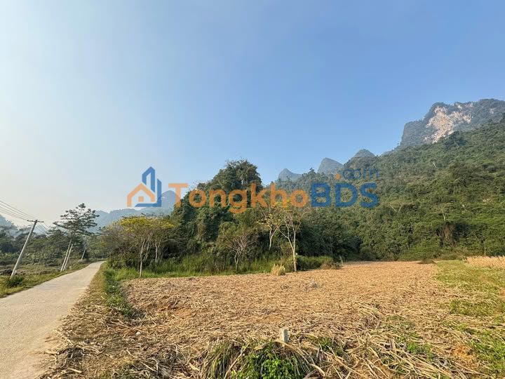 Đất Vườn Hà Giang 3000m² Mặt QL - Giá Tốt Đầu Tư