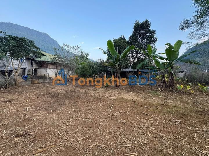 Bán Đất Tặng Nhà Gỗ Nghiến 1000m² Phường Quang Trung, TP Hà Giang - Giá 690 Triệu