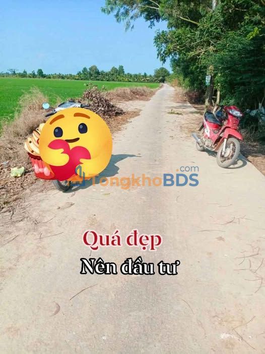 Đất Sóc Trăng Mặt Tiền Lộ Ô Tô - Gần KCN An Nghiệp 1300m² Giá 550 Triệu