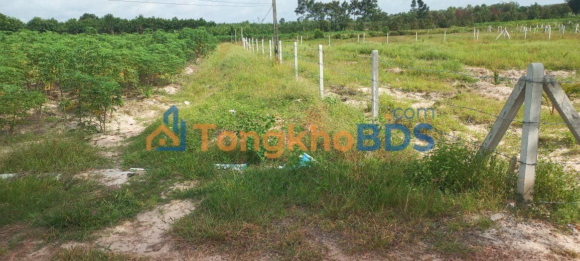 Đất Nền 500m² Dòng Cà, Tây Ninh - Sổ Đỏ Sẵn Sàng