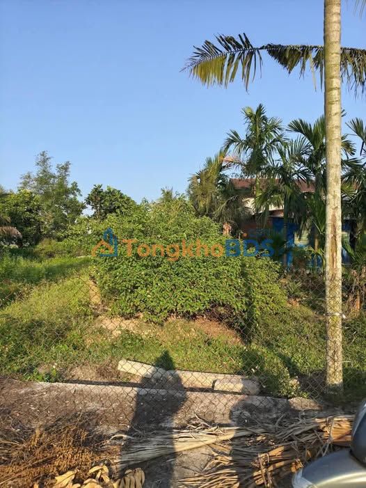 Bán Đất Thổ Cư Đức Lân Cần Đước 189m² - Giá Chỉ Từ 4xx Triệu