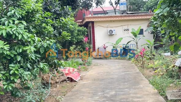 Cho thuê nhà nguyên căn 3PN gần Chợ Hòa Lạc, ĐH FPT - Sẵn sàng đón khách cuối tháng 4