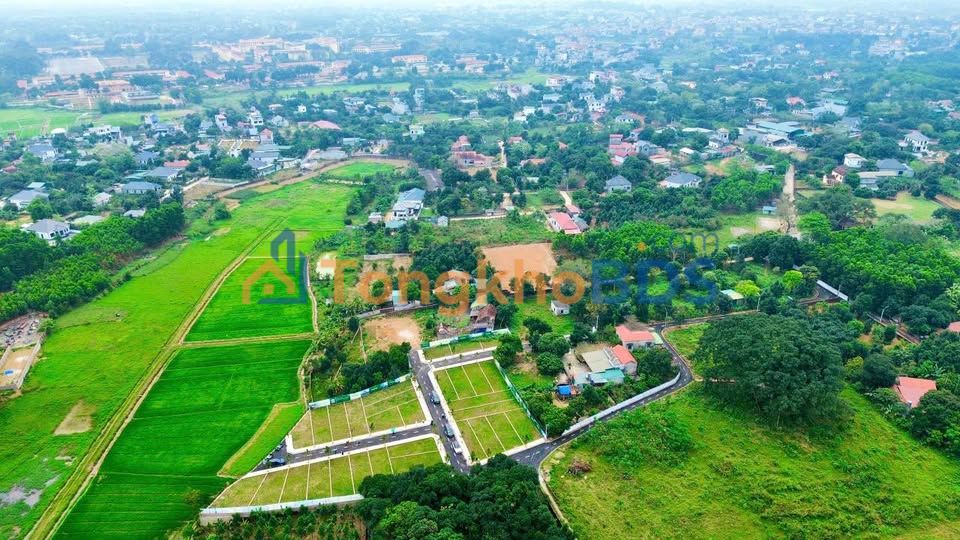 Đất nền 100m² Trại Hồ, Sơn Tây - Sổ đỏ sẵn, kinh doanh sầm uất