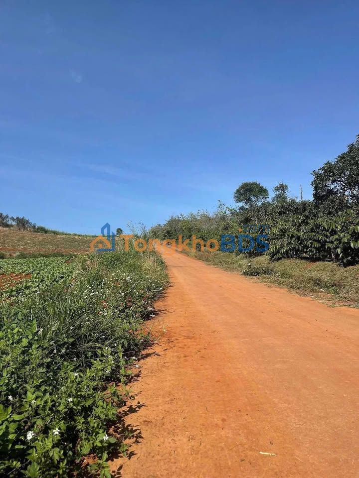 Đất Nền Nam Hà Lâm Hà 1066m² Sẵn Sổ - Giá F0 999 Triệu