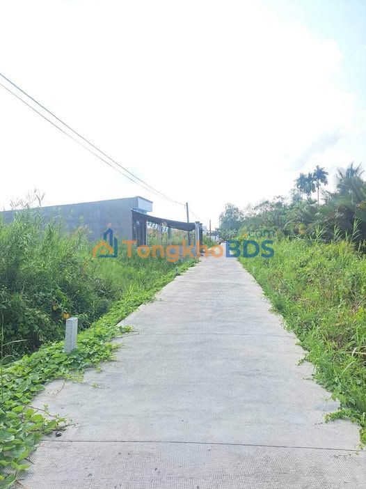 Đất Nền 120m² Gần Đại Học Võ Trường Toản, Hậu Giang - 600 Triệu