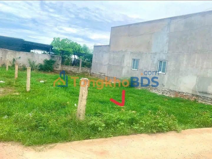 Đất nền Hàm Liêm 100m² 499 triệu - Sổ đỏ chính chủ