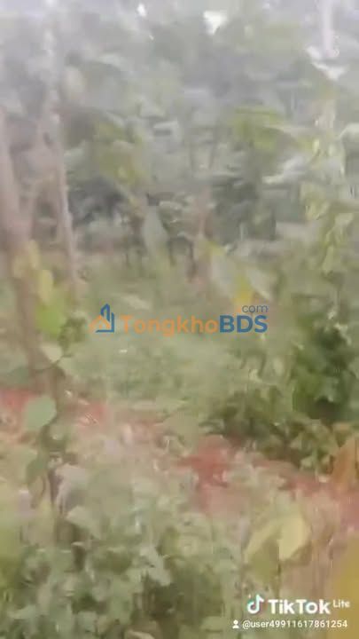 Bán Đất Vườn 2700m² Đồng Nai - Sổ Đỏ Sẵn Sàng