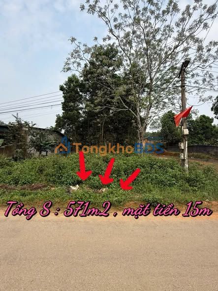 Đất Vàng 571m² Mặt Tiền 15m - Trung Tâm Phong Châu, Việt Trì