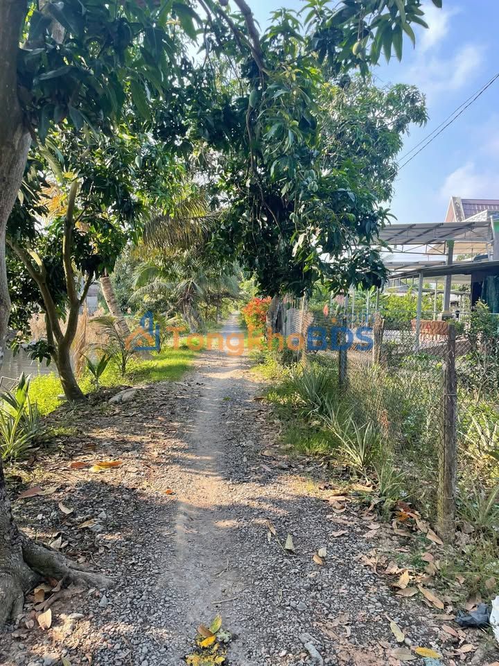 Bán Đất Vườn 20000m² Phường Bình Trị Đông, Bình Tân - Sẵn Sàng Định Cư Lâu Dài