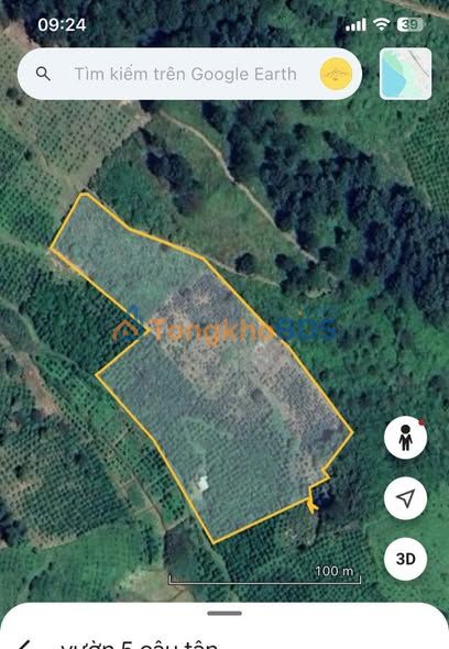 Bán đất 12.500m² sổ đỏ tại Lâm Hà, Lâm Đồng - Giá 1.6 tỷ