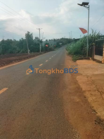 Đất Mặt Đường Nhựa Đan Phượng 50m² - Sẵn Thổ Cư, Kinh Doanh Tốt