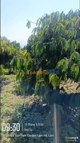 Đất Nền Lâm Hà - 25200m² Sổ Đỏ Sẵn Sàng, Giá Tốt 350 Triệu