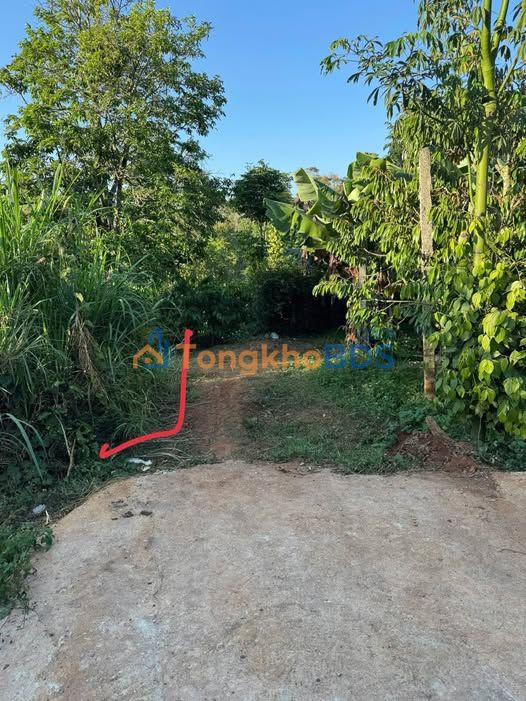 Đất Buôn Hồ 60m² Thổ Cư - Giá 550 Triệu Gần Đường Y Yon