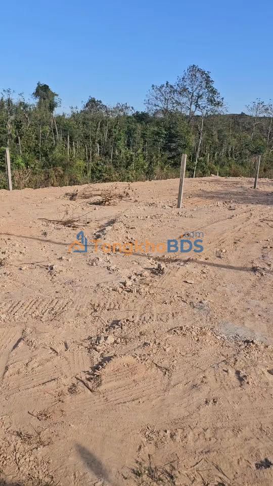 Bán đất Xã Nam Đà, Krông Nô, Đắk Nông - 430m² chỉ 365 triệu