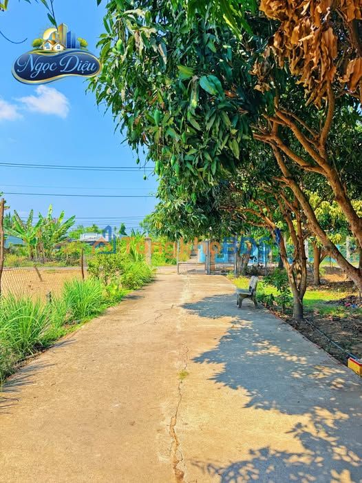 Nhà 36m² Trương Định, Rạch Giá - 1 Trệt 1 Gác, 2 PN, Giá 3.6 Triệu