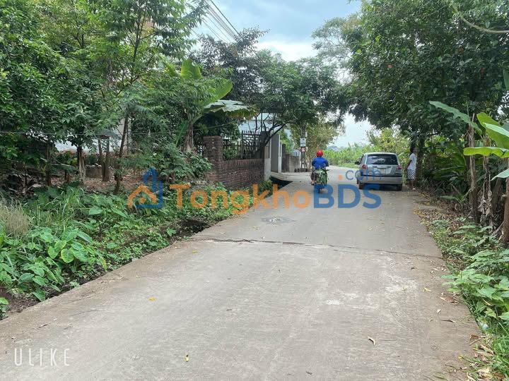 Đất nền tiềm năng 351m² Tân Yên, Bắc Giang - Gần KCN, chia 2 lô