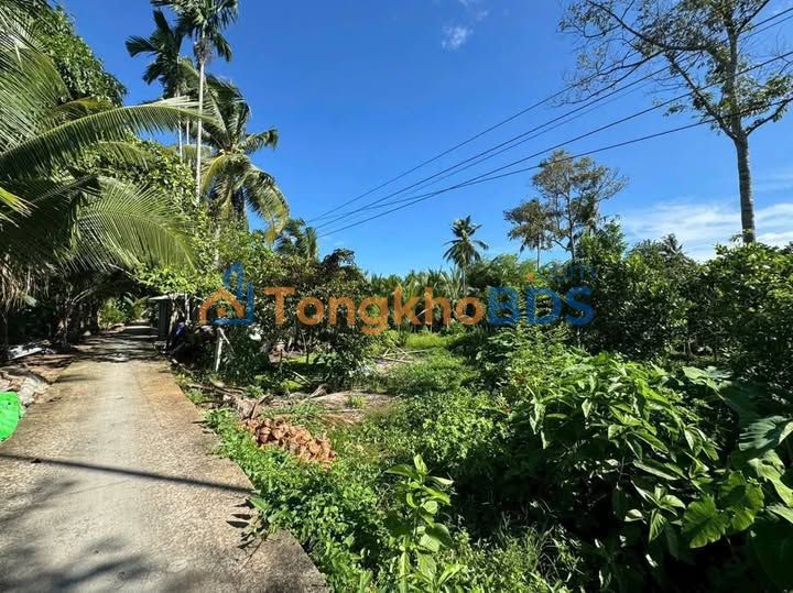 Đất nền 138.9m² Phường An Bình, Cần Thơ - View Sông, Giá Hơn 800 Triệu