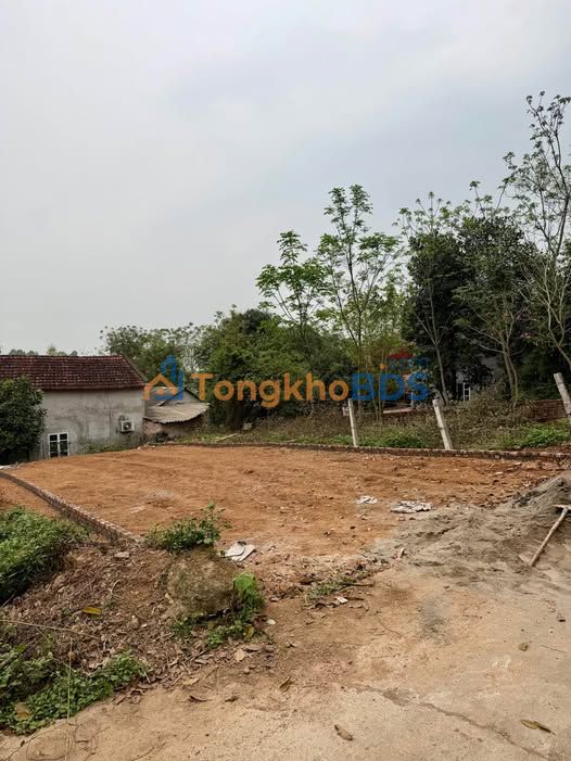 Đất nền An Hòa, Tam Dương 138m² - Mặt tiền 7M, Giá chỉ 600Tr!