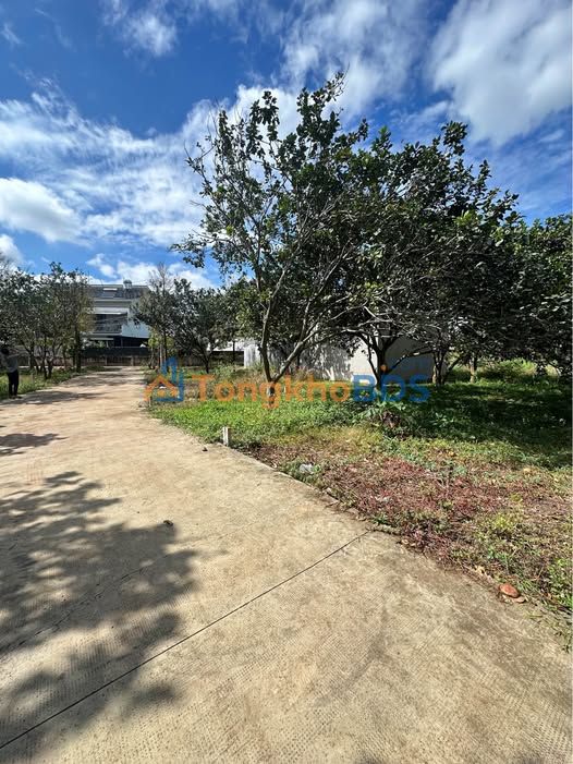 Đất nền Ấp 1 Bình Lộc - Sổ riêng 100m² - Giá 1.08 tỷ