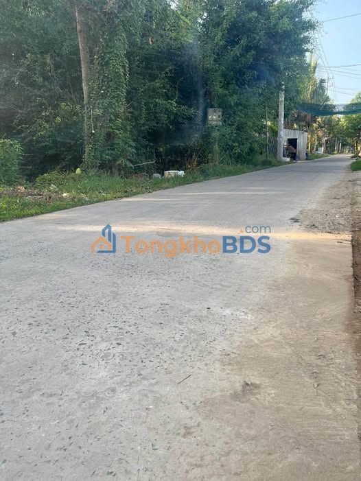 Đất thổ cư mặt tiền lộ đan 360m² - Xã Phú Nhuận, Bến Tre - 1.5 tỷ