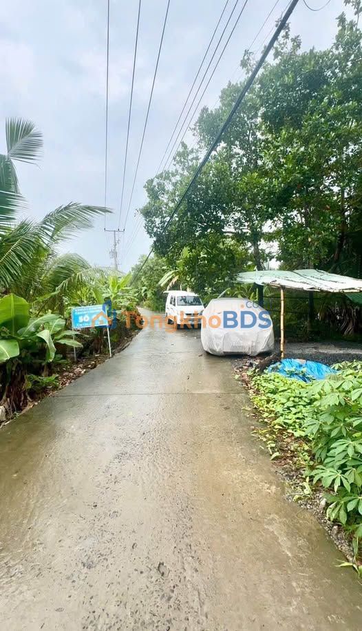 Bán Đất Nền Phú Hữu, Hậu Giang - 141m² Ngang 5.9m - Giá 290 Triệu