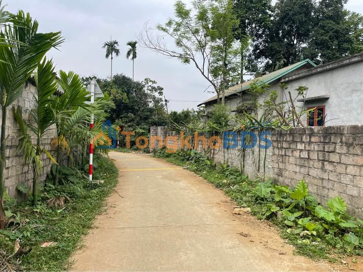 Đất Dẻ Cau, Lương Sơn 130m² Full Thổ Cư - Sổ Đỏ Rõ Ràng, Giá Đầu Tư 600 Triệu