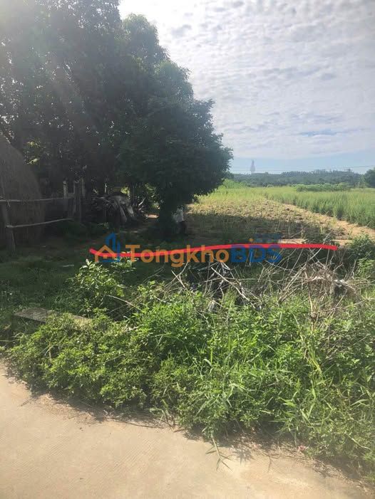 Bán Gấp Đất Tịnh Khê 800m² - Sổ Đỏ Thổ Cư, Giá Tốt 3 Tỷ