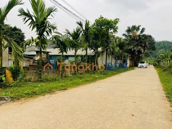 Đất Vườn Mãn Đức 847m² - Sẵn Vườn Bưởi Xanh Mát, Giá Đầu Tư