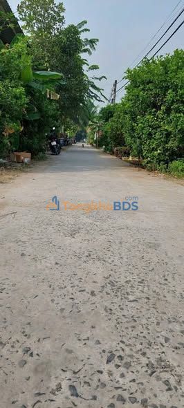 Bán đất Bình Chánh 95m² - Đường Vườn Thơm, Giá 2.2 tỷ
