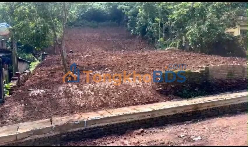 Bán Đất Vườn 1000m² Tân Liễu, Bắc Giang - Sổ Đỏ, Lưng Tựa Núi, Giá Hời 5 Tỷ++